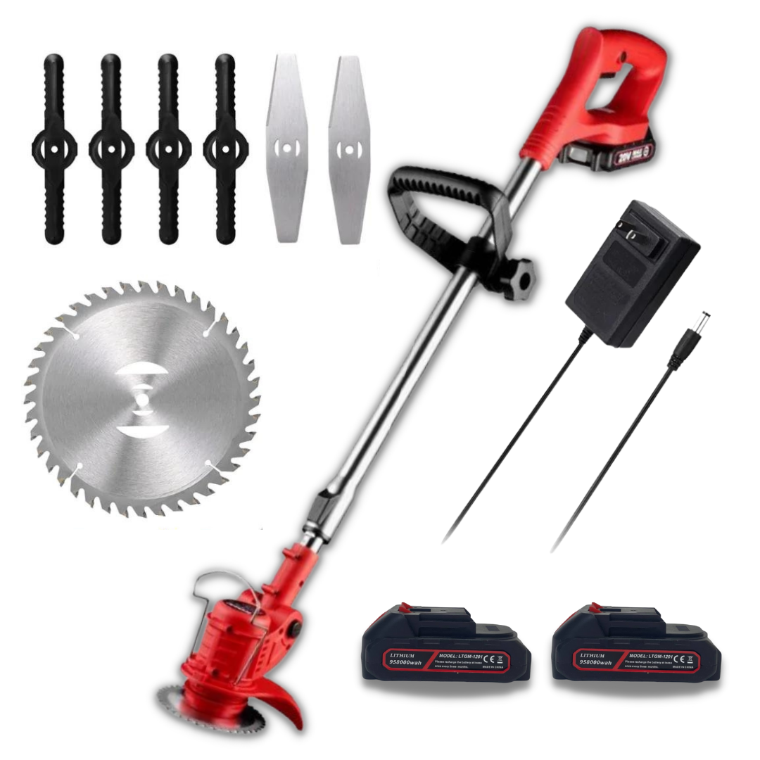 DECESPUGLIATORE A BATTERIA SENZA FILI