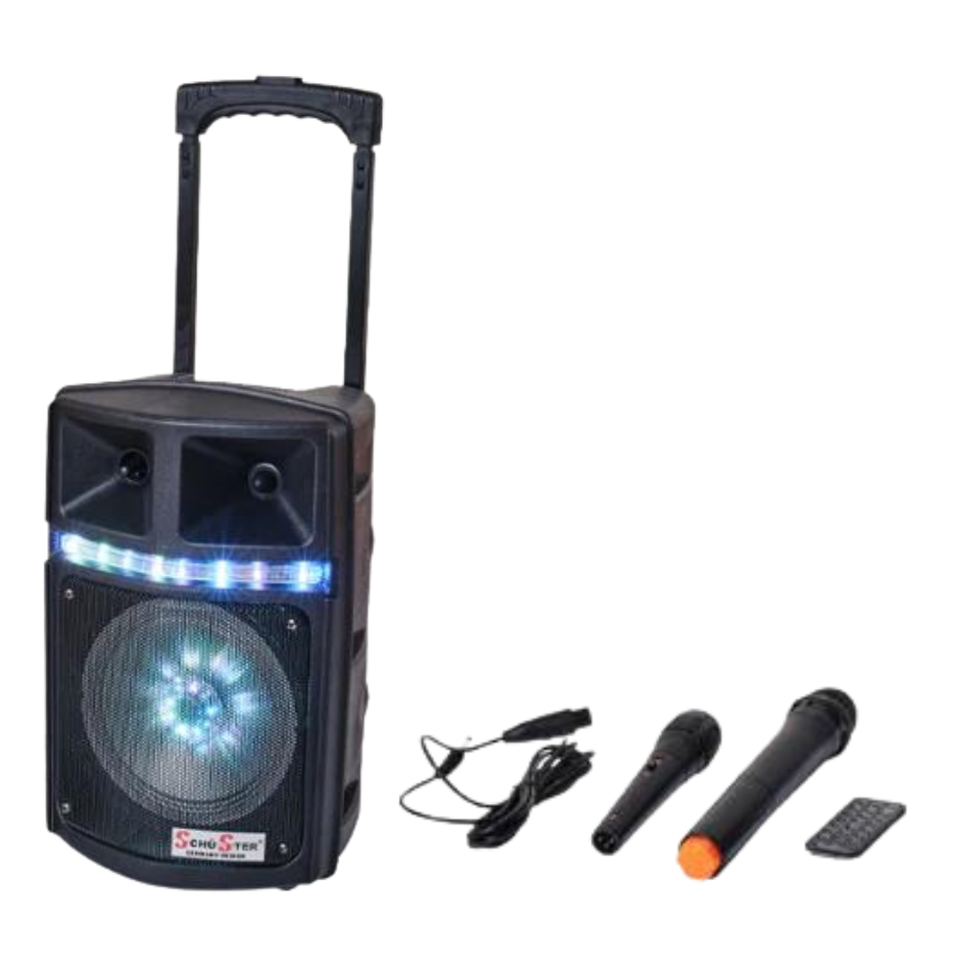 CASSA KARAOKE 2 MICROFONI (2000WATT)